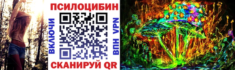 Галлюциногенные грибы Magic Shrooms  наркота  Каменногорск 